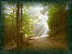 Les seuils de passage